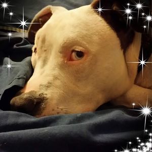 Meet your Posher, Rhonda